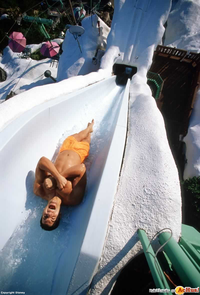 Imagen de Disney´s Blizzard Beach Water Park  Race down The Mountain